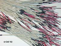 Closer... Click for an even closer look!