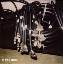 16-Some of the 8-Pair w/ DB 25's.